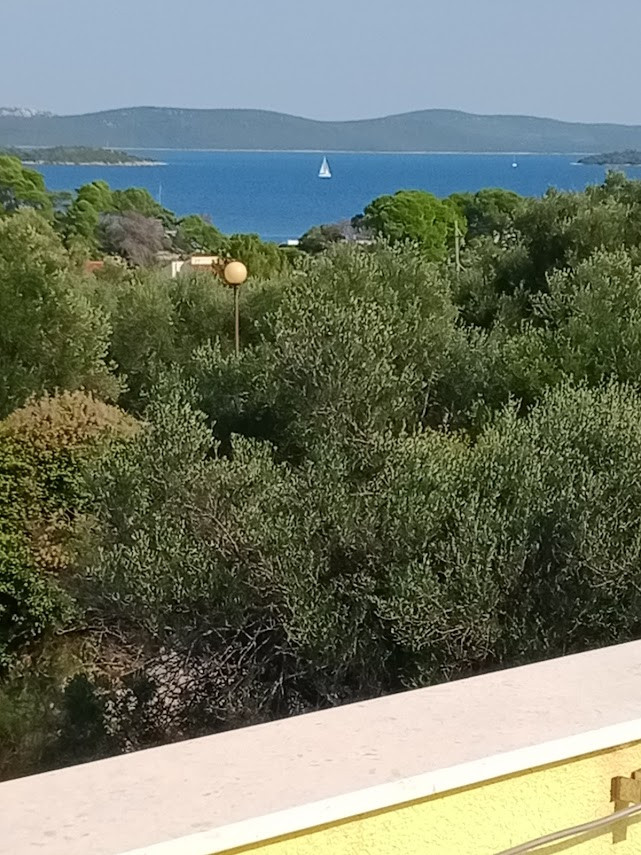Au&szlig;en, Villa Gaby mit beheiztem Pool, Dugi Otok, Kroatien Božava